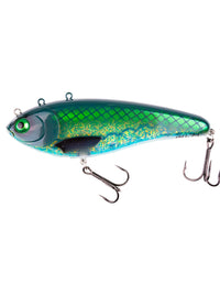 Blue Cisco