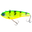 GlitterTiger