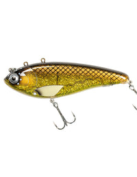 Spawning bream